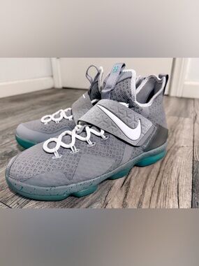 Nike LeBron 14 mag with lion pendant NWOT youth 6.5